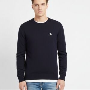 Abercrombie & Fitch Merino Wool Crewneck Sweater Navy Medium Preppy Minimalist